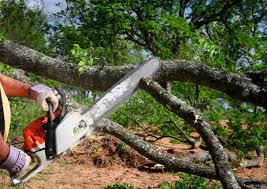 Lawn Renovation and Restoration in Villa Hills, KY